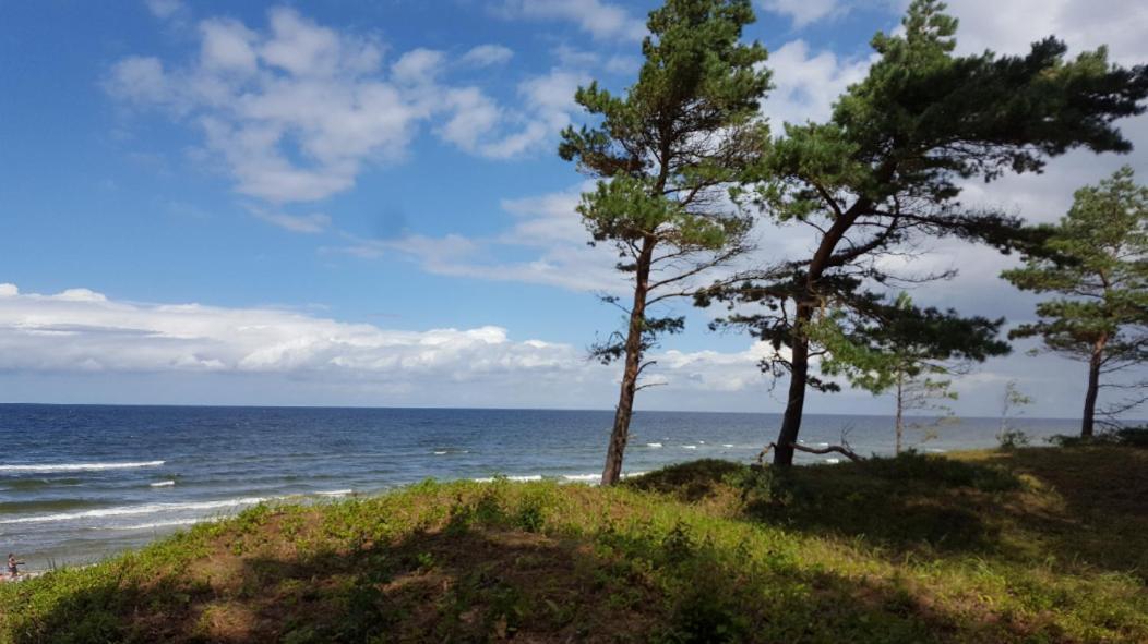 Wiselka Holiday House-1,2Km To The Beach; 5 Bedrooms, 3 Bahrooms; Fire Place. Private Sauna! Экстерьер фото